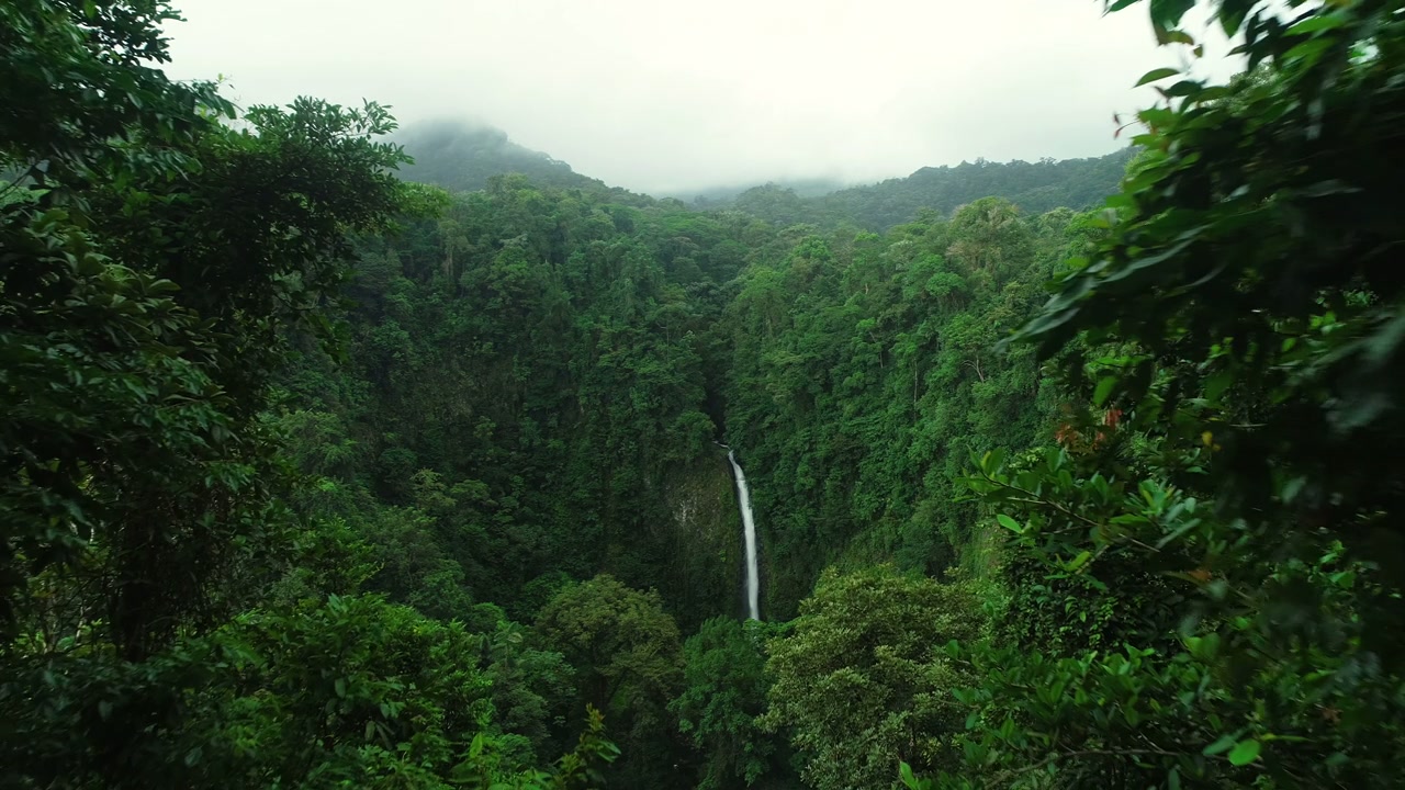Tropical waterfall in a lush forest